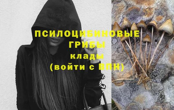 соль ск Богородицк